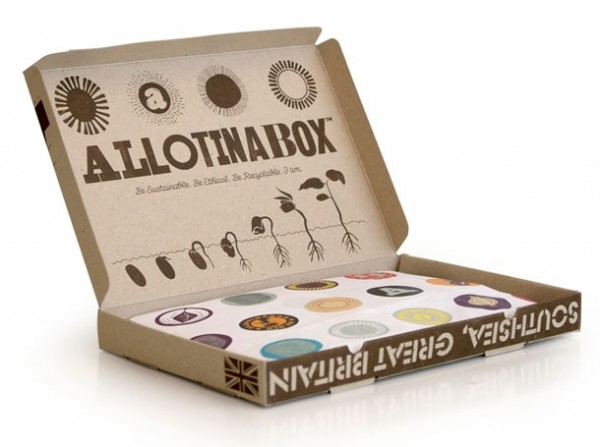 дизайн упаковки Allotinabox