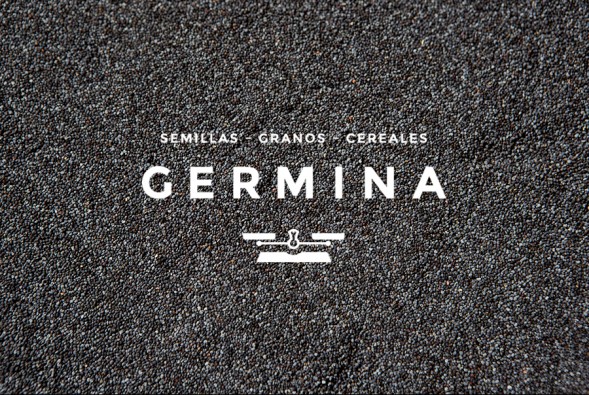 Фирменный стиль магазина Germina by Savvy Studio
