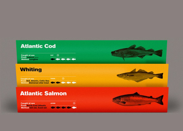 Дизайн упаковки рыбных продуктов