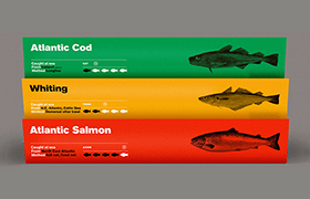 Дизайн упаковки рыбных продуктов
