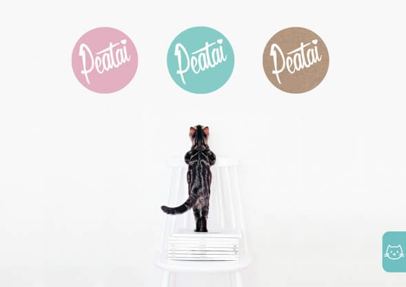 Дизайн упаковки игрушек для кошек